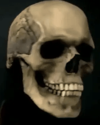 Máscara Dead Skeleton realista espeluznante | Mandibula con Movimiento para-Halloween 🎁 ¡Llévala hoy con 30% DCTO!