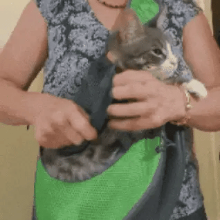 Cargador de mascotas, con malla transpirable - Seguro, cómodo y ajustable 🎁 HOY 50%DCTO